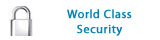 World Class Security