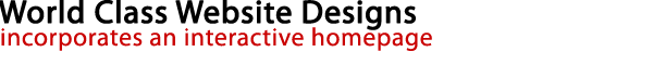 World Class Website Designs incorporates an interactive homepage