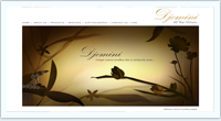 web design company perth eknowhow